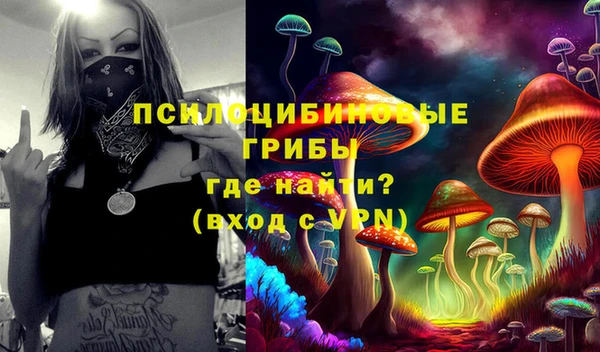 соль ск Гвардейск